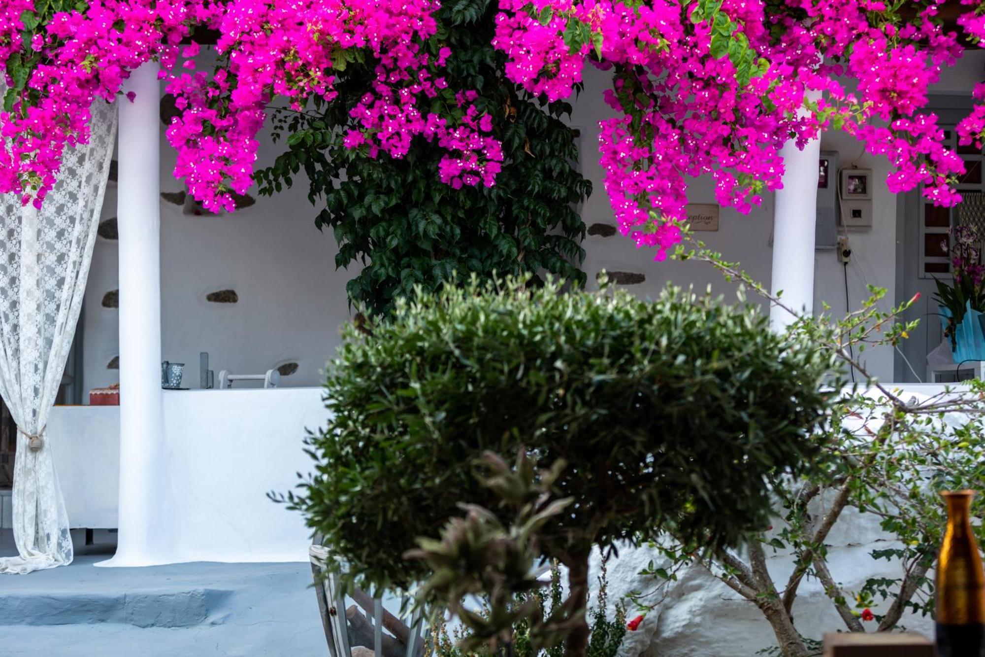 Sunrock Suites Στελίδα Εξωτερικό φωτογραφία